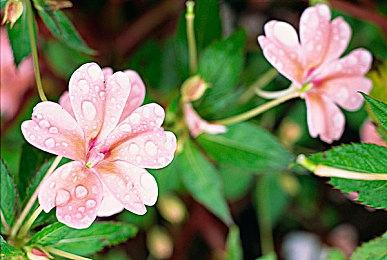 梵高油画风过关游戏《星夜骑士》今日在steam发售 支持中文售价15元